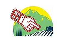 農(nóng)村電商